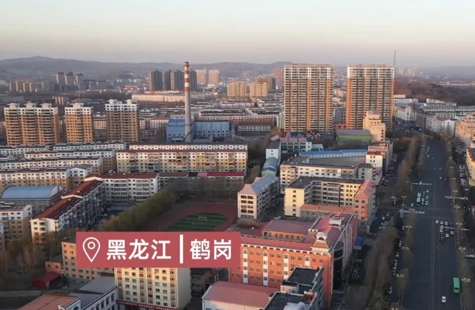 鹤岗最新动态，城市变迁与发展概况
