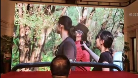 明星动态与自然探索，追寻内心的平和之旅
