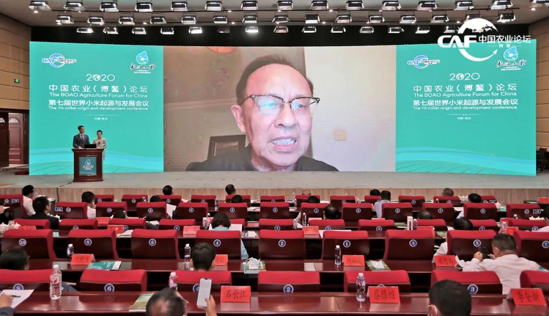 赤峰谷子最新价格行情详解与指南