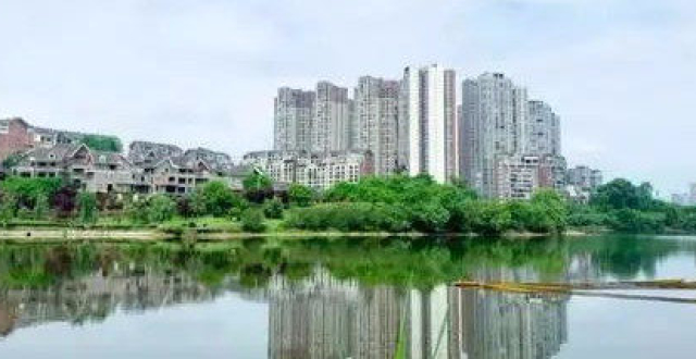 四川大竹最新楼盘市场现状与个人观点解析，热门楼盘概览与趋势展望