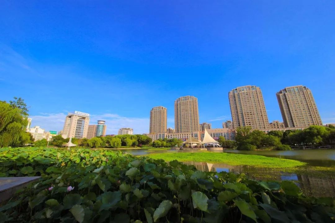 柯桥和谐家园最新房价动态，变化中的学习与自信的力量